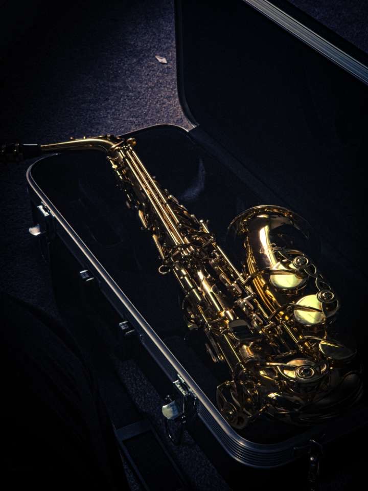 Alto Saxophone